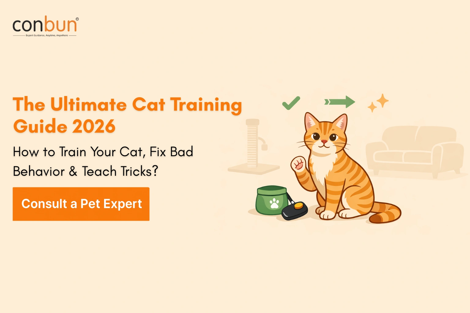 The Ultimate Cat Training Guide 2026